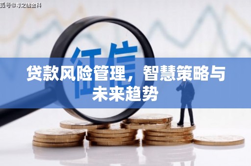 会宁贷款风险管理，智慧策略与未来趋势
