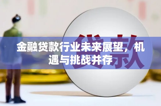安义金融贷款行业未来展望，机遇与挑战并存