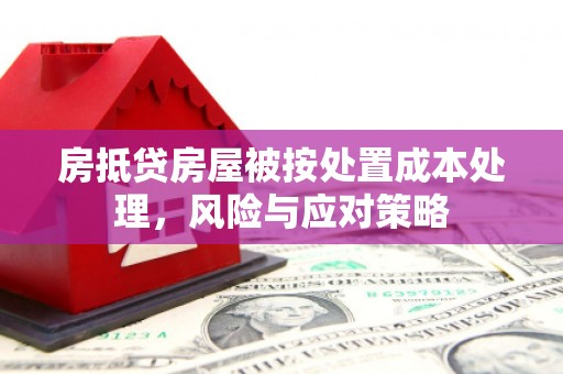 阜阳房抵贷房屋被按处置成本处理，风险与应对策略