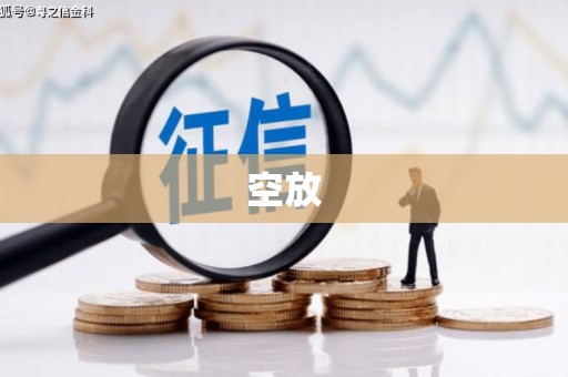 雁江空放