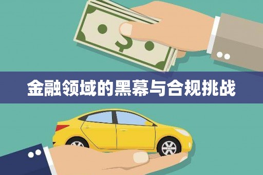 南召金融领域的黑幕与合规挑战